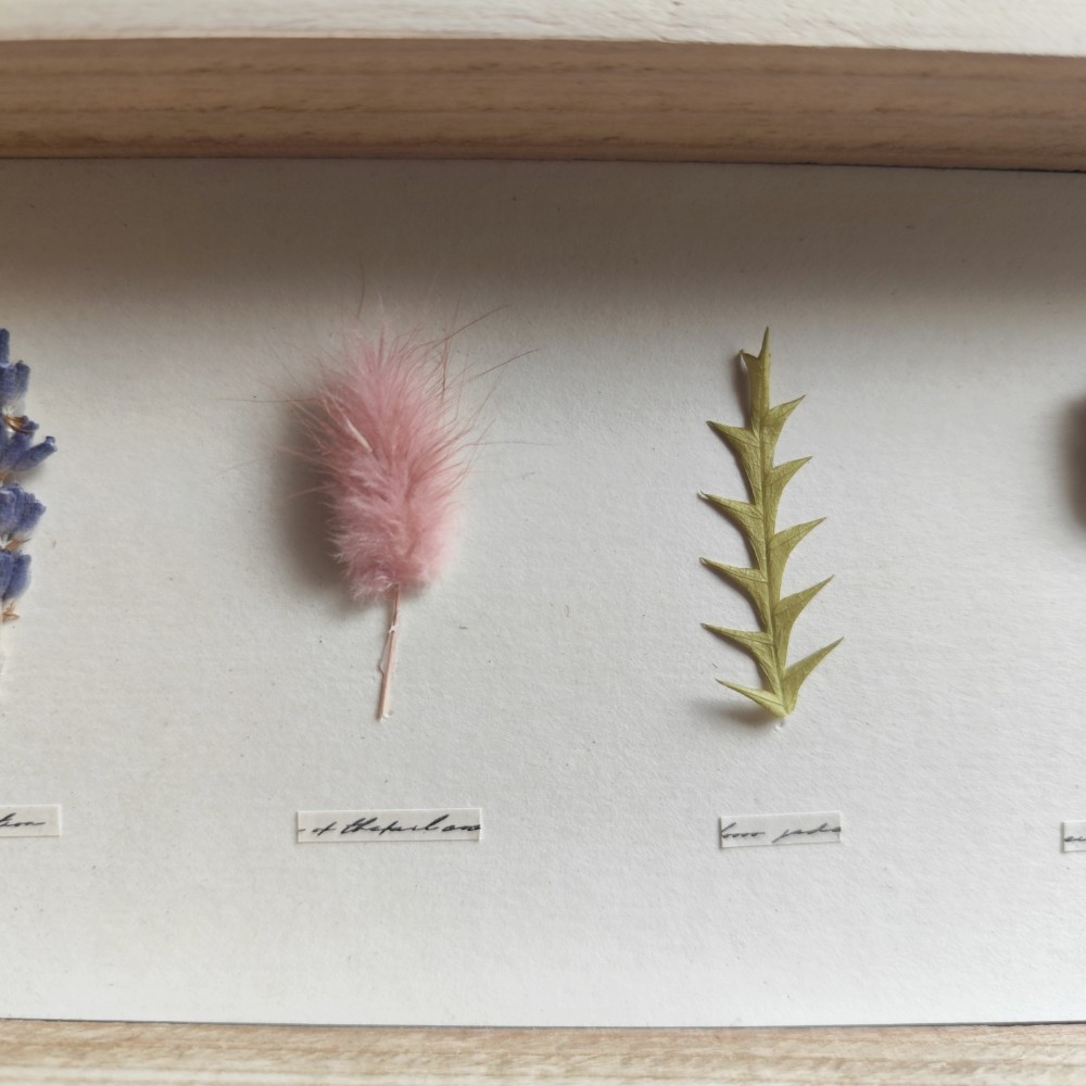 植物標本風パネル